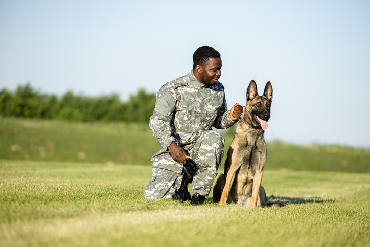 Veteran Mental Health and Service Dogs What Research Suggests and What Programs Provide