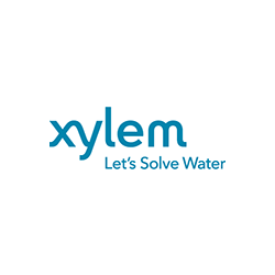Xylem
